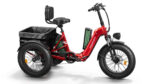 PUCKIPUPPY Electric Tricycle - Image 2