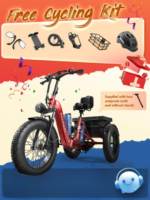 PUCKIPUPPY Electric Tricycle - Image 15