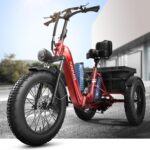 PUCKIPUPPY Electric Tricycle - Image 3