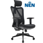 Ergonomic Office Chair