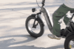 PUCKIPUPPY Electric Tricycle - Image 7